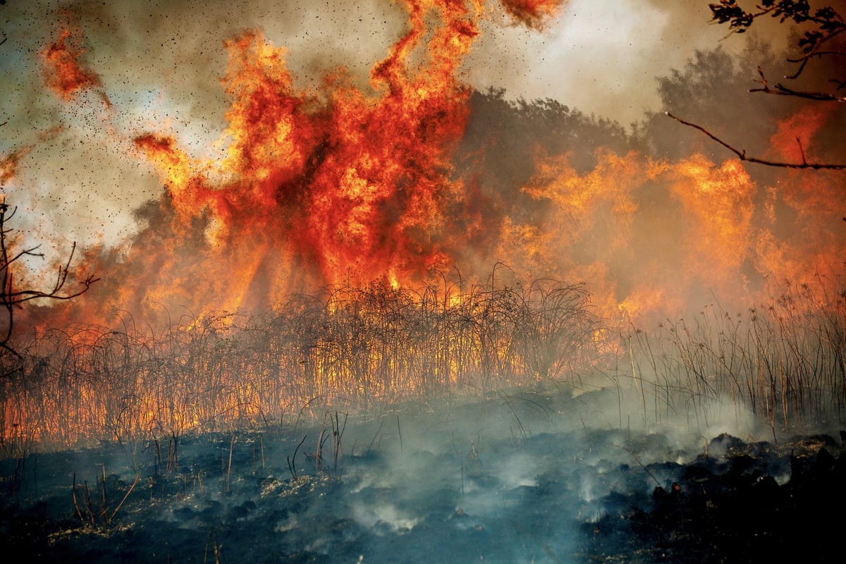 Droughts and wildfires now seen as 'most pressing' climate impact by public
