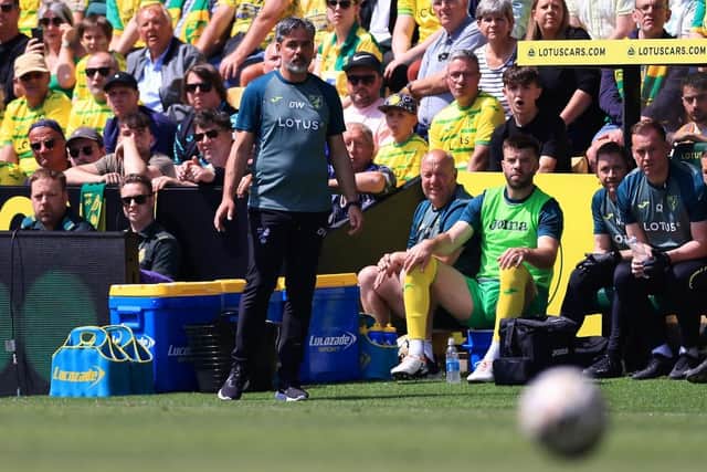 MODERN DAY: A greyer David Wagner watches his Norwich City draw 0-0 with Leeds United in Sunday's Championship play-off semi-final first leg at Carrow Road