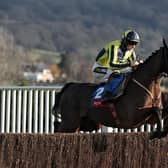 DOUBTFUL: Good Boy Bobby, who Nigel Twiston-Davies has warned punters could miss the bet365 Charlie Hall Chase. PIcture: David Davies/PA.