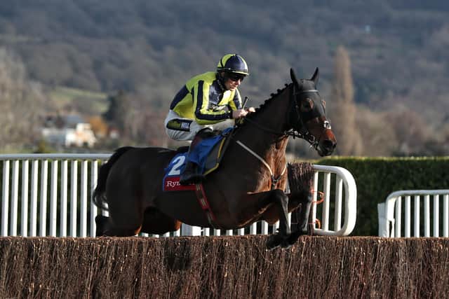 DOUBTFUL: Good Boy Bobby, who Nigel Twiston-Davies has warned punters could miss the bet365 Charlie Hall Chase. PIcture: David Davies/PA.