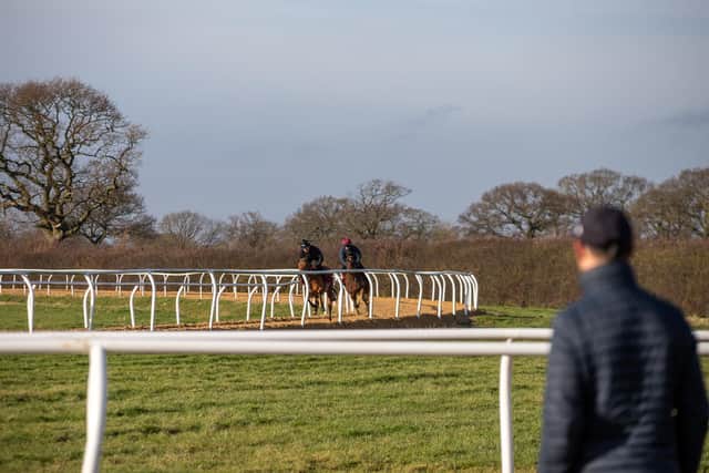Horses on the gallops at an event to mark Rob Burrow and his wife Lindsey being named as patrons of The Good Racing Company. Picture: Megan Dent.