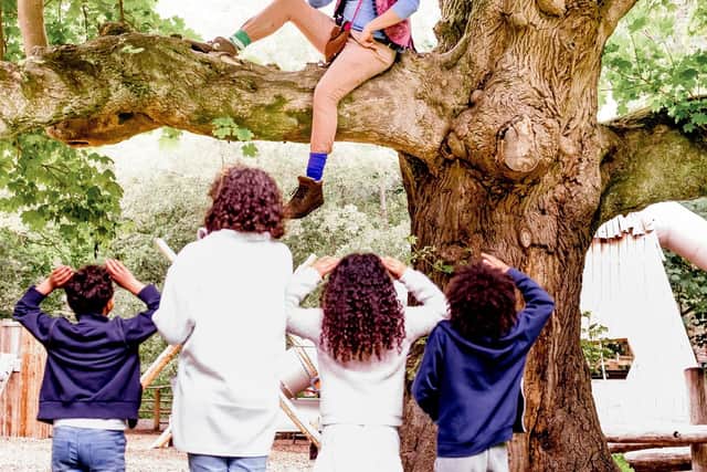 Enjoy treetop fun with magical creatures this summer