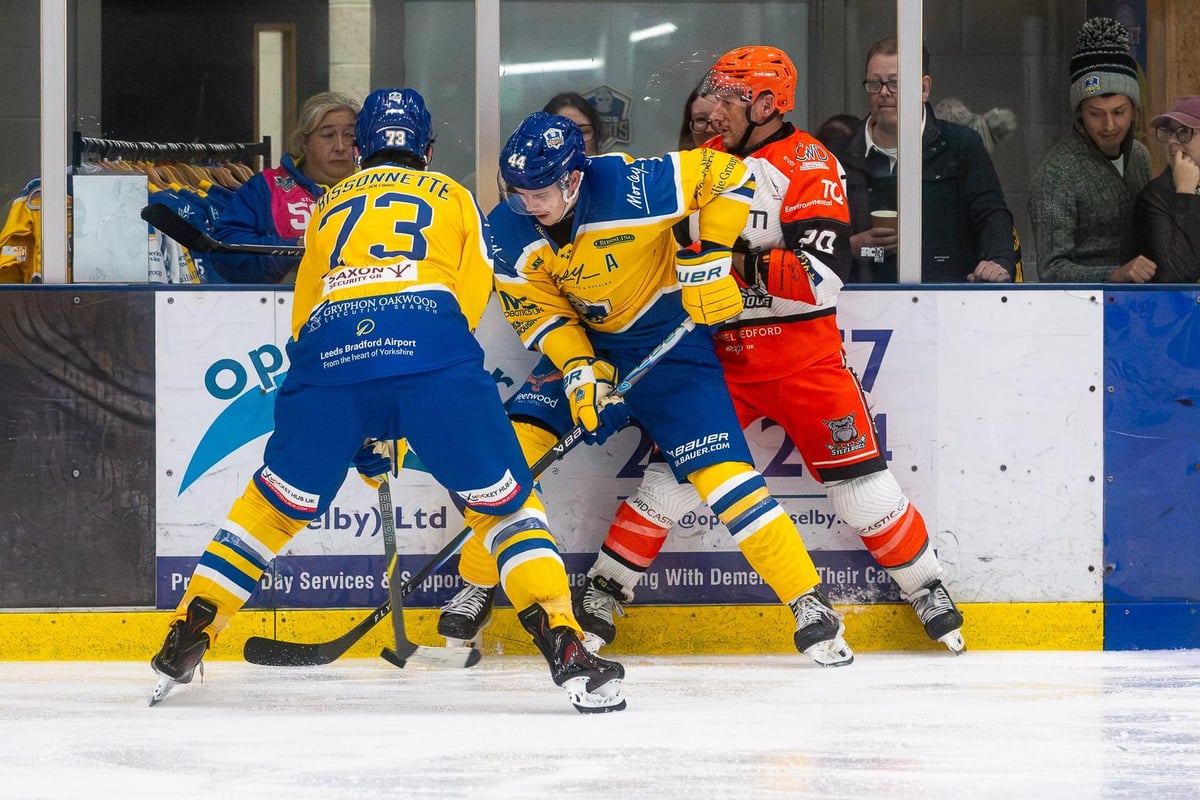 Sheffield Steeldogs charged with ending leaders' unbeaten start before first derby duel