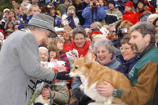 Queen Elizabeth II admiring a corgi from the Manitoba Corgi Association as she met the crowd at The Forks in Winnipeg, Manitoba, during her two week Golden Jubilee tour of Canada.  (Kirsty Wigglesworth/PA Wire)