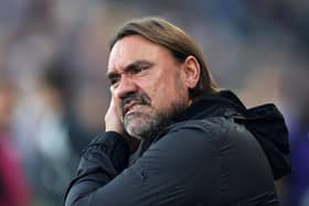 "HEARTBROKEN": Leeds United manager Daniel Farke (Image: Ryan Pierse/Getty Images)