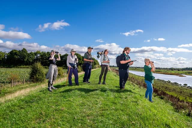 Volunteers Sophie Denton, Catherine Palmer, Ray and Diane Priestley, Anthony Cox, from The Don Catchment River Trust, and Carol Boothroyd busy surveying the wildlife on this wetland. Picture: James Hardisty.