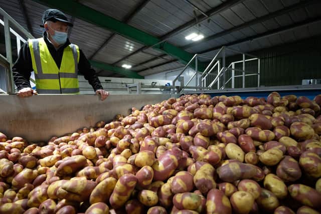 The latest figures show the supply chain employed 4m people in the UK 2021, but less than a quarter (856,000) worked in agriculture and manufacturing.