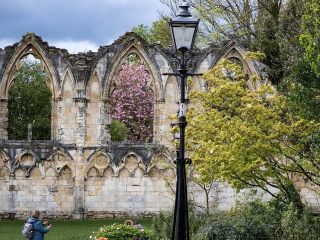 York Museum Gardens. (Pic credit: Marisa Cashill)