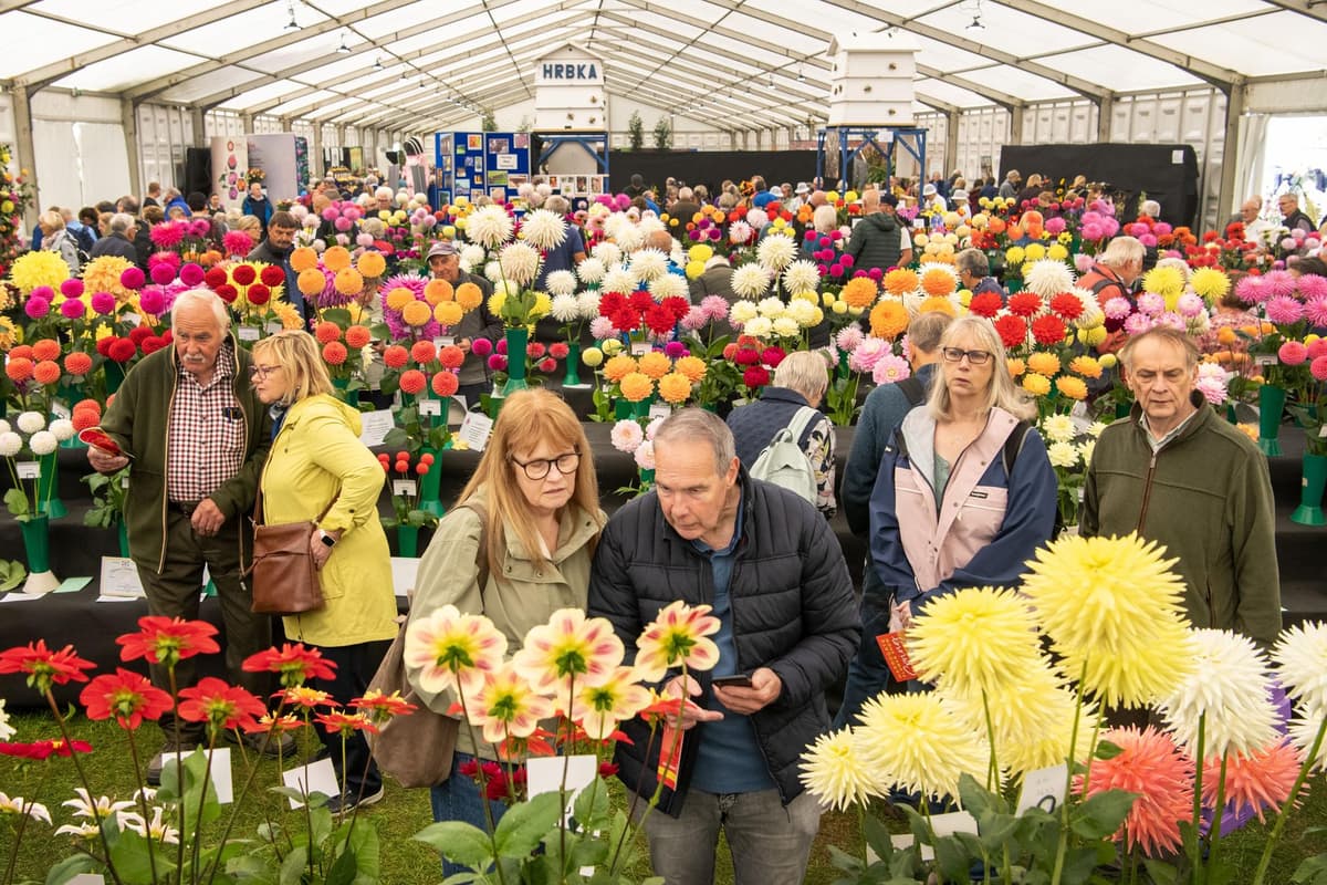 Herbstliche Harrogate Blumenschau in Newby Hall: Erste Bilder vom ersten ...