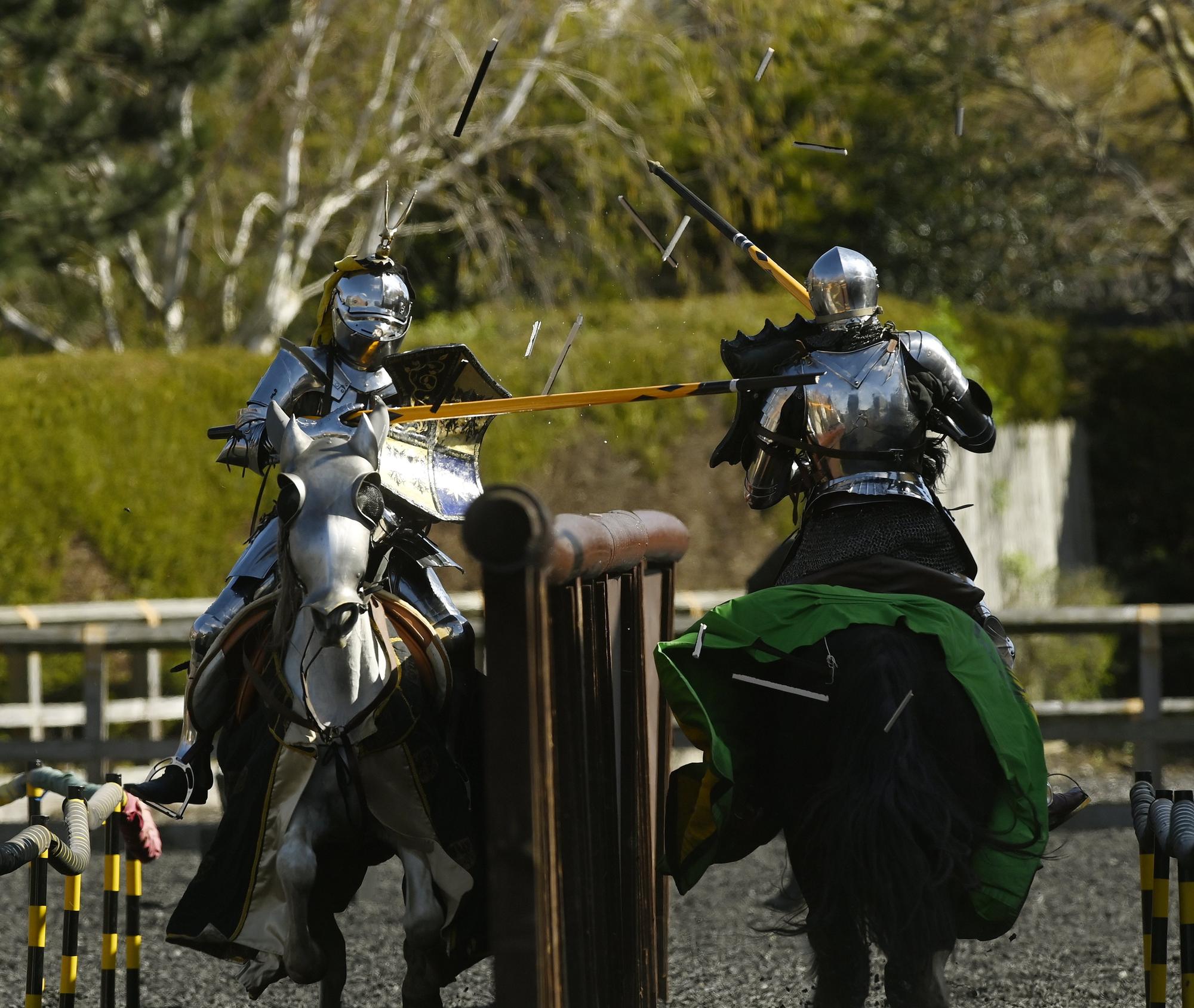 Joust in time… sport makes a comeback