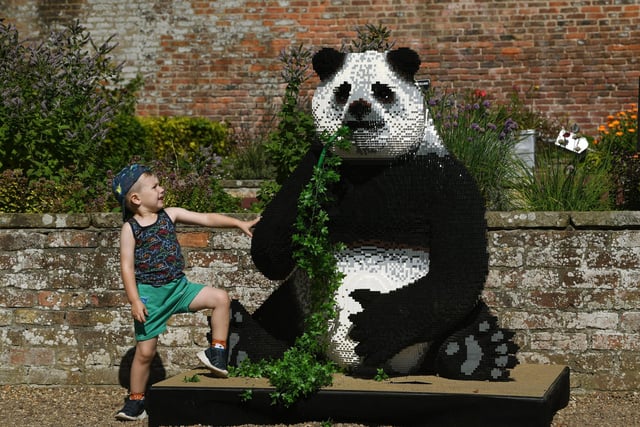 Four-year-old Douglas Abbott, with a giant panda.