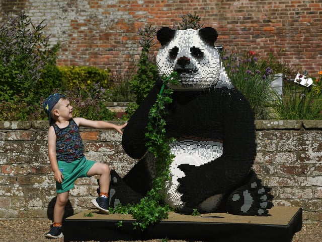 Four-year-old Douglas Abbott, with a giant panda.