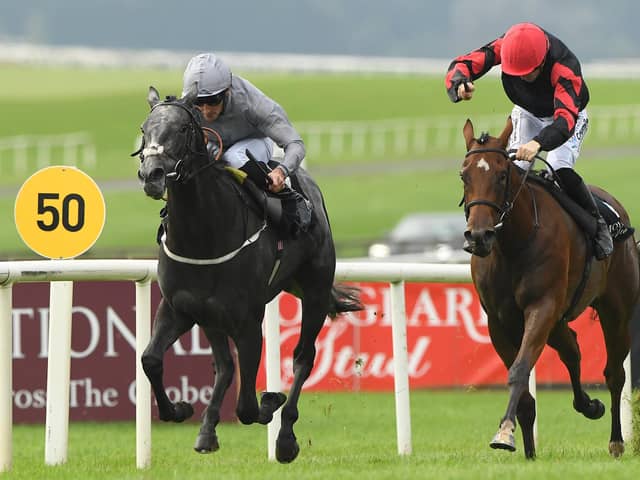 BIG HOPES: Fallen Angel ridden by Daniel Tudhope (left) wins the Moyglare Stud Stakes at Curragh in September. Picture: Damien Eagers/PA Wire.