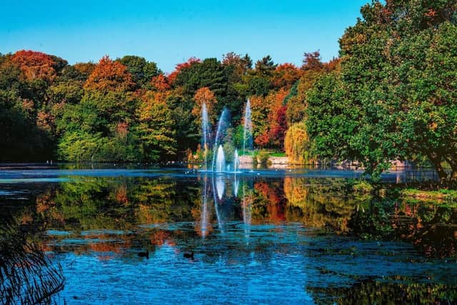 A glorious autumn day in Roundhay Park, Leeds. (Pic credit: James Hardisty)