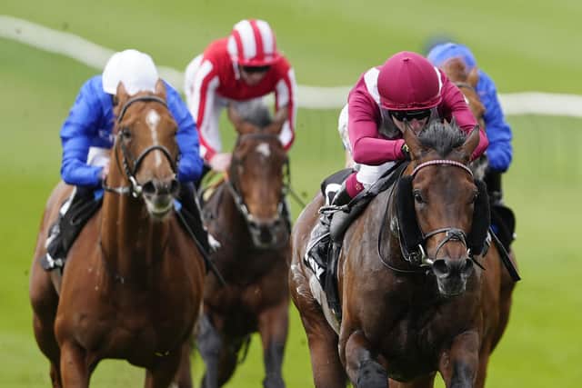 Memorable day for Yorkshire trainers Mark Walford and Harriet Bethell ...