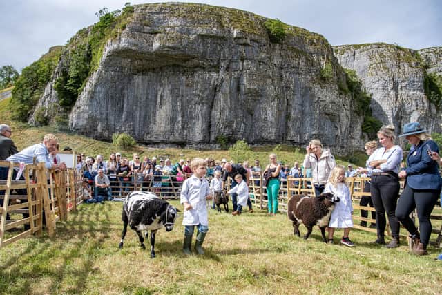 Children take part in the young handler classes with their sheep at Kilnsey Show in 2025. Photograph by Tony Johnson.