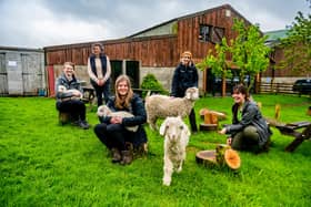 Farmer Catherine Calvert with Isabel Thompson, Ellie McKee, Joely Newell, and Hermione Pocock, from Yorkshire Dales National Park Authority (Tees-Swale: naturally connected Programme) looking after a few of Catherine's Angora goats. Picture By Yorkshire Post Photographer,  James Hardisty.