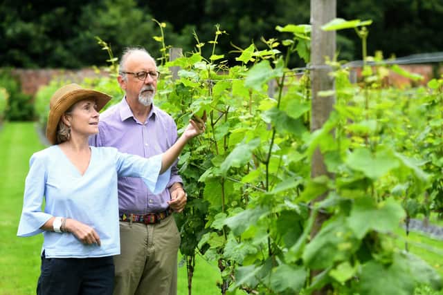 Gerald and Emma Fitzalan-Howard, pictured in the vineyard at their estate, Carlton Towers, near Selby, are possible Coronation guests as Gerald's brother is the Duke of Norfolk and Earl Marshal, traditional organiser of all state ceremonies