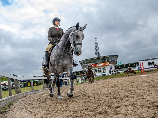 Equine classes warming up in the collecting ring on the first day of the Great Yorkshire Show