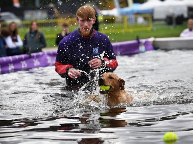 Chatsworth County Fair a dog takes part in K9 Aqua Sports. 4th September 2026