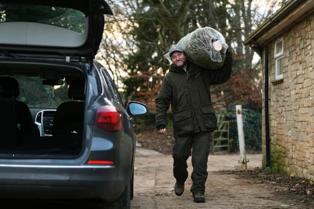 Boston Road Christmas Trees at Sweep Farm, Wetherby. Will Ziegler loads up a customer's car.