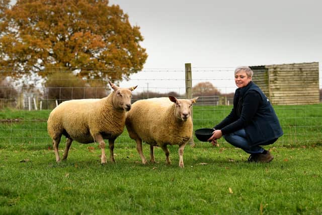 Kate McNeil pictured with her pedigree sheep at Wrancarr Mill