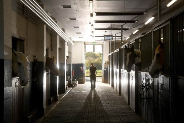 PC Michelle Hudson pictured in the stables where South Yorkshire Police's mounted section is based.