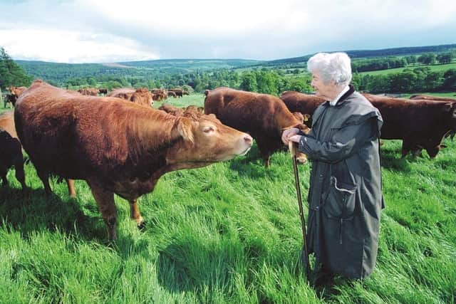 Founder of Chatsworth Farmyard, Duchess Deborah, with cows on the farm. (Pic credit: Chatsworth House Trust)