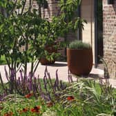 Pots and attractive planting near the door makes a good impression says garden designer Alistair Baldwin