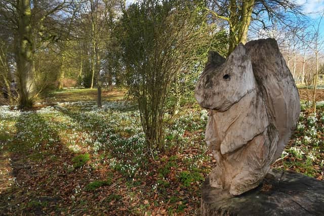 Snowdrops dotted around the woodland at Burton Agnes Hall. (Pic credit: Paul Atkinson / PA)