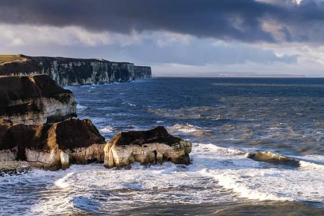Bempton Cliff's and Thornwick Nab from Thornwick Bay, Flamborough. (Pic credit: Bruce Rollinson)