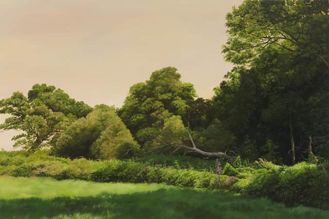 Hannah Brown, The Field Next to Tesco that is Soon to be Built on 5, 2017-19, oil on marine ply and oak. ©The Artist. one of the paintings on display in Arcadia for All? Rethinking Landscape Painting Now at the Stanley & Audrey Burton Gallery, Leeds.  Picture: Anna Arca