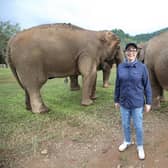 Sue Perkins with elephants in Thailand.