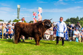 Penistone Agricultural Show at Cannon Hall Farm. (Pic credit: James Hardisty)