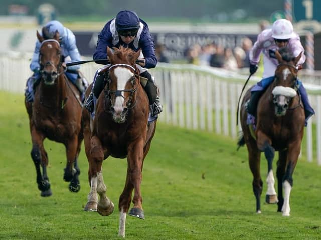 WINNING RIDE: Tom Marquand riding Economics win the Al Basti Equiworld Dubai Dante Stakes at York yesterday.  Picture: Alan Crowhurst/Getty Images