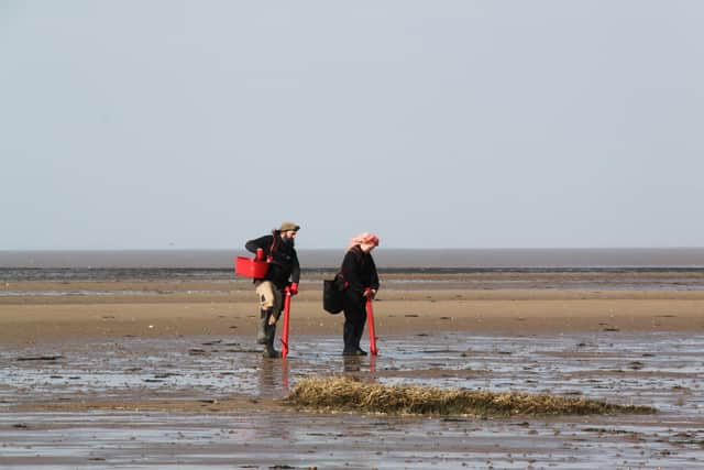 Andy Jayes and Georgia Bennett, Seagrass Restoration Officers ,Yorkshire Wildlife Trust