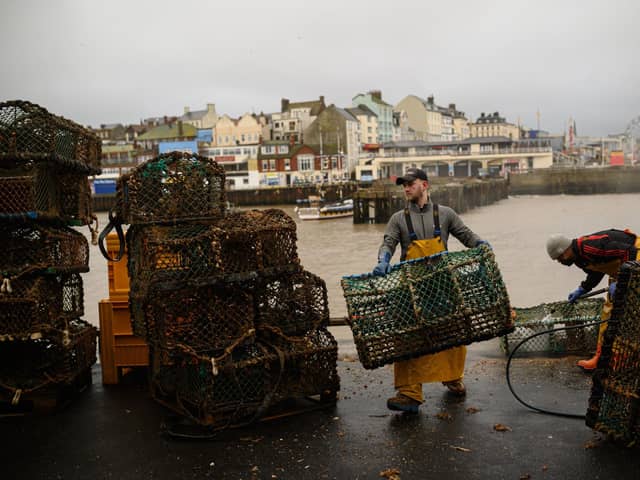 Fishermen clean and repair their lobster pots as they prepare for their next voyage to sea, on the South Pier of Bridlington Harbour fishing port in Bridlington. (Photo by OLI SCARFF / AFP) (Photo by OLI SCARFF/AFP via Getty Images)