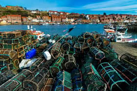 Picture James Hardisty.
Hundreds of parlour pots (lobster/crab pot) used for commercial fishing stacked along the harbour at Whitby, East Yorkshire.