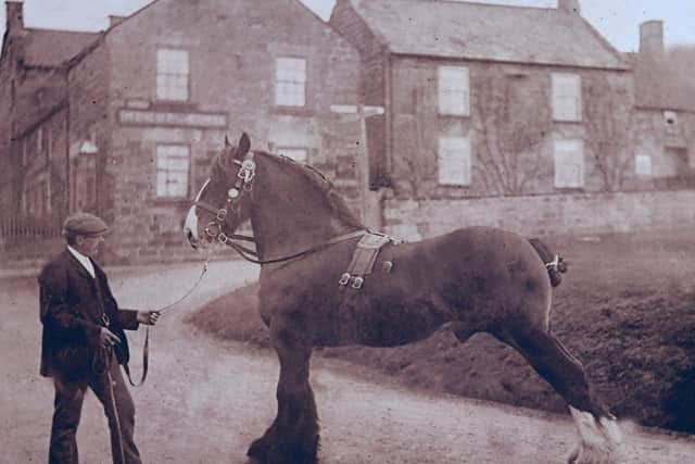 Jack Farrow the grandfather of Wendy Underwood pictured with a prize winning Shire horse, which won at the Yorkshire Show