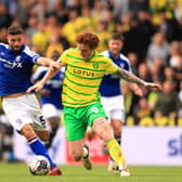 Josh Sargent scored 16 goals for Norwich City during the 2023/24 campaign. Image: Stephen Pond/Getty Images