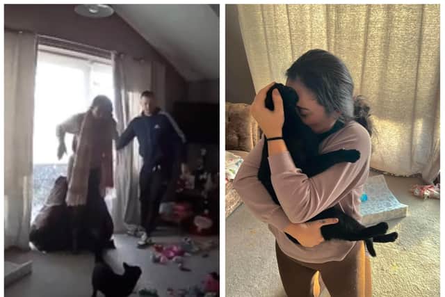 WATCH: Moment Yorkshire woman reunites with missing cat she feared was dead goes viral across social media