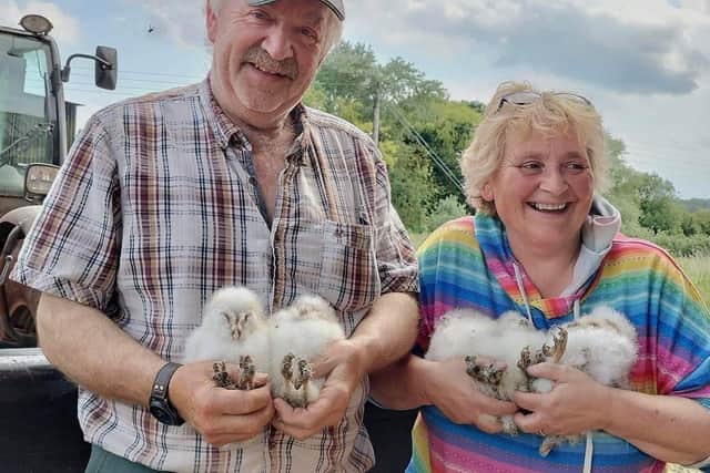 Farmers Angela and Dick Brown with the baby owlets