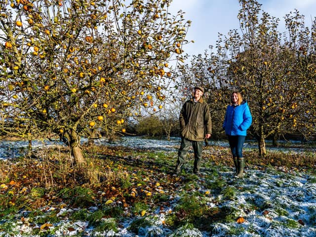 Farmer Tim Sellers with daughter Hester in their apple orchard with over 20 different varieties of mature trees.