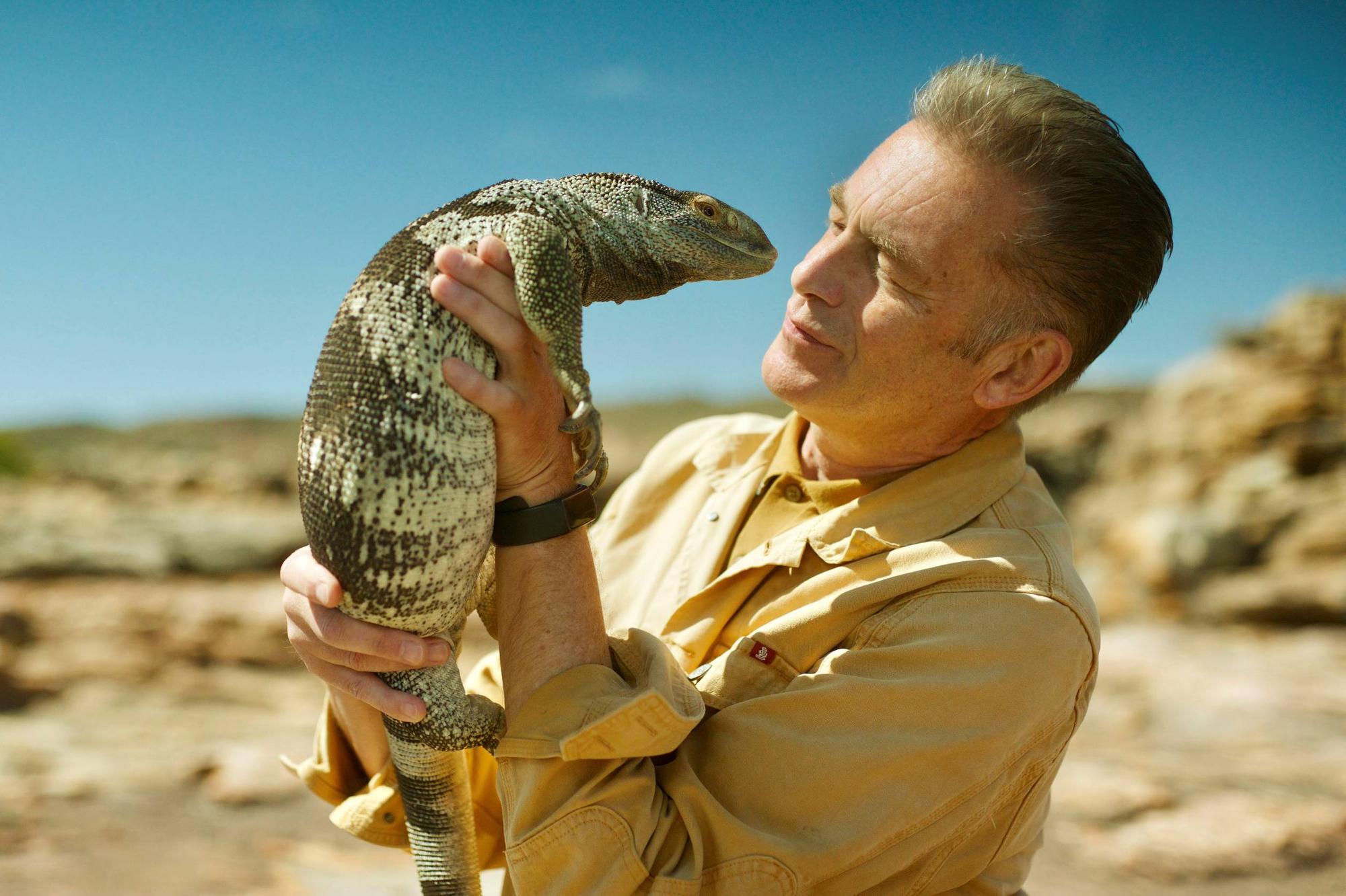 Evolution: Chris Packham on his new BBC show seen as 21st century Life On ...