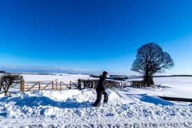On a beautiful start to the day clear blue skies a man takes an early morning walk through the snow near Thixendale, on The Wolds.