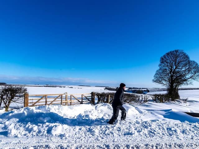 On a beautiful start to the day clear blue skies a man takes an early morning walk through the snow near Thixendale, on The Wolds.