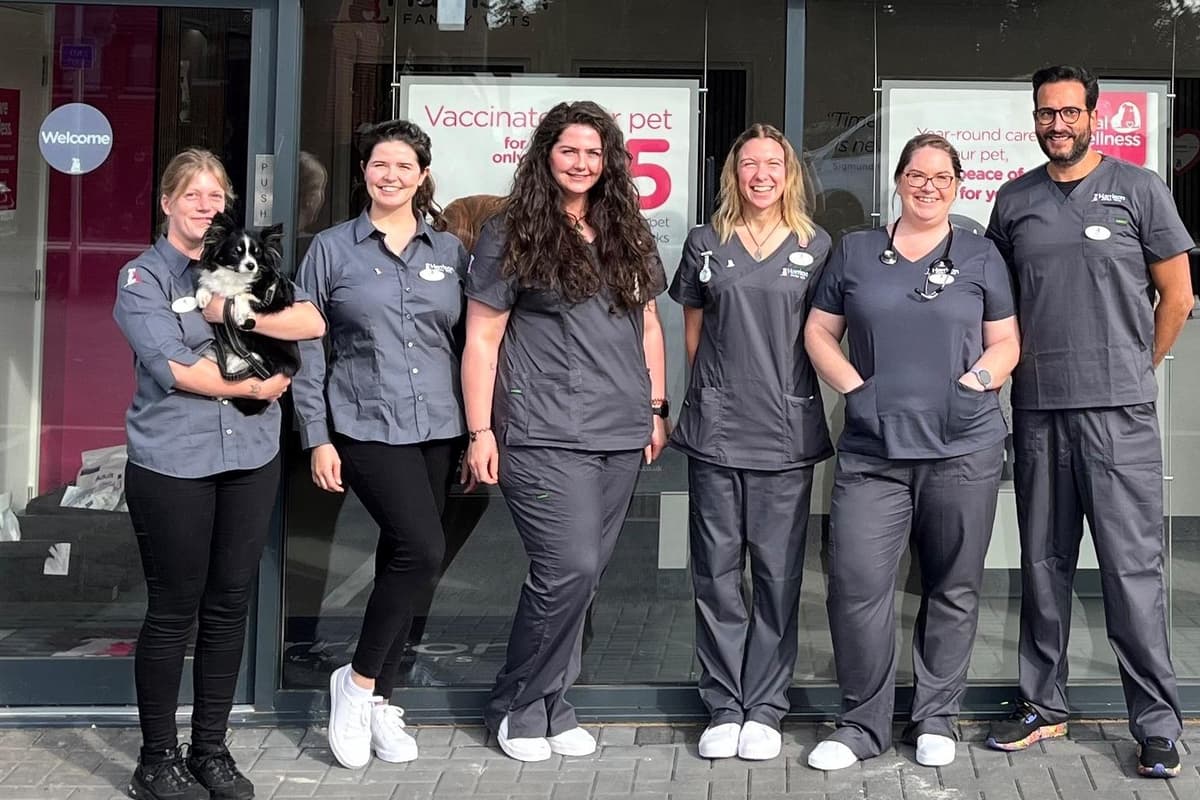 Vet Chain Vet chain to open new branch in Doncaster after £350,000 investment