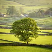 The regional supply of publicly marketed farmland across Yorkshire and the north of England had increased 103 per cent to the end of March of this year, compared to the same period in 2022, with 3,340 acres marketed.