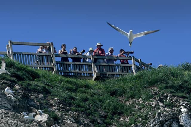 T.Bird Watchers watch the Gannets at Bempton Cliff...16th June 2021..Picture by Simon Hulme