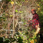 Guy Thornton a member of the Yorkshire Hedgelaying Association, pictured Woohouse Cliff, Leeds. Picture by Simon Hulme 31st October 2022










